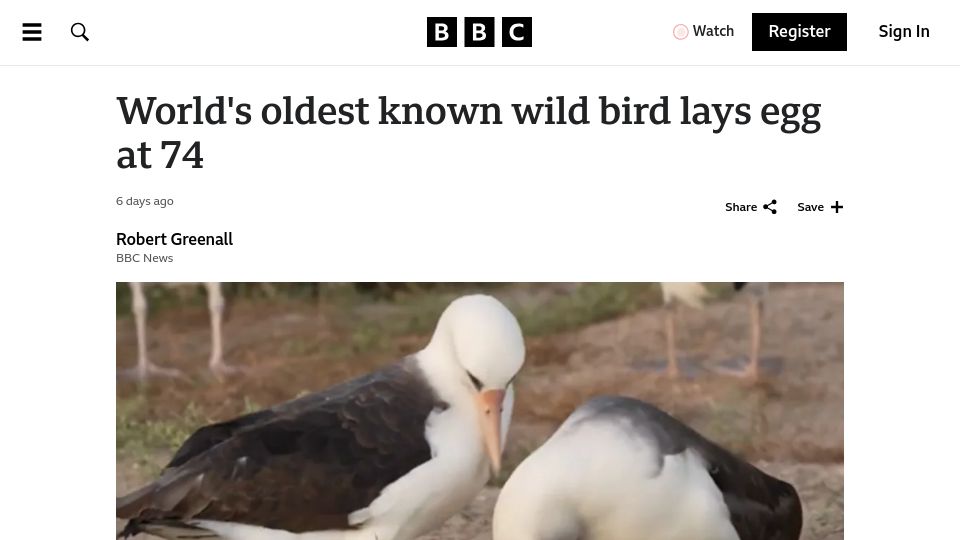 Screenshot of bbc.co.uk: Oldest known wild bird lays egg at 74