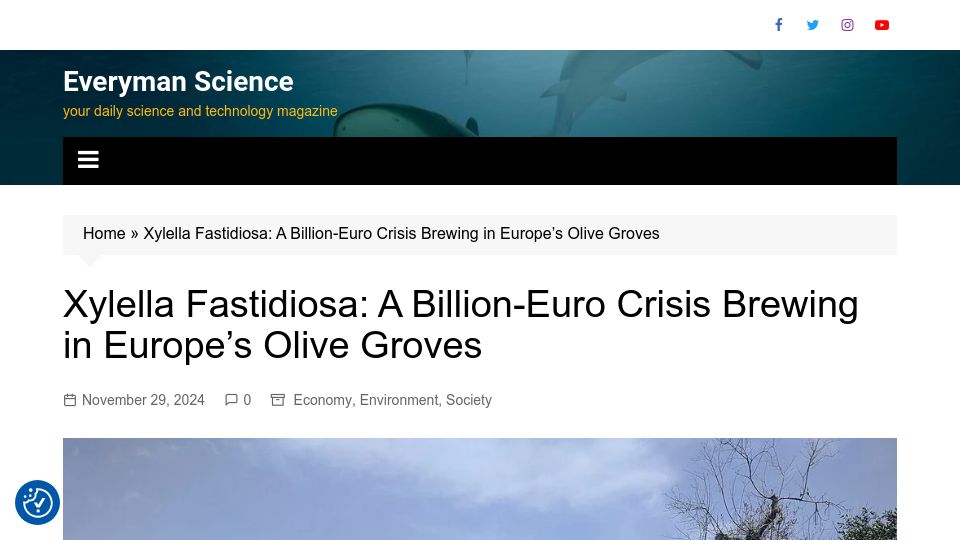 Screenshot of everymansci.com: Xylella Fastidiosa: A crisis brewing in Europe's olive groves