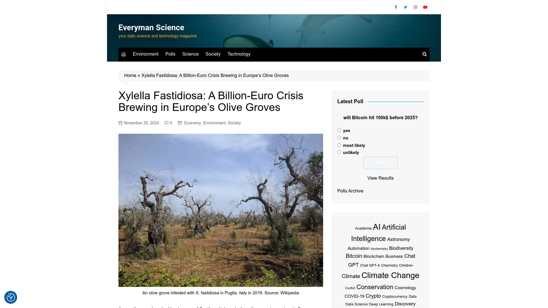 Screenshot of everymansci.com: Xylella Fastidiosa: A crisis brewing in Europe's olive groves