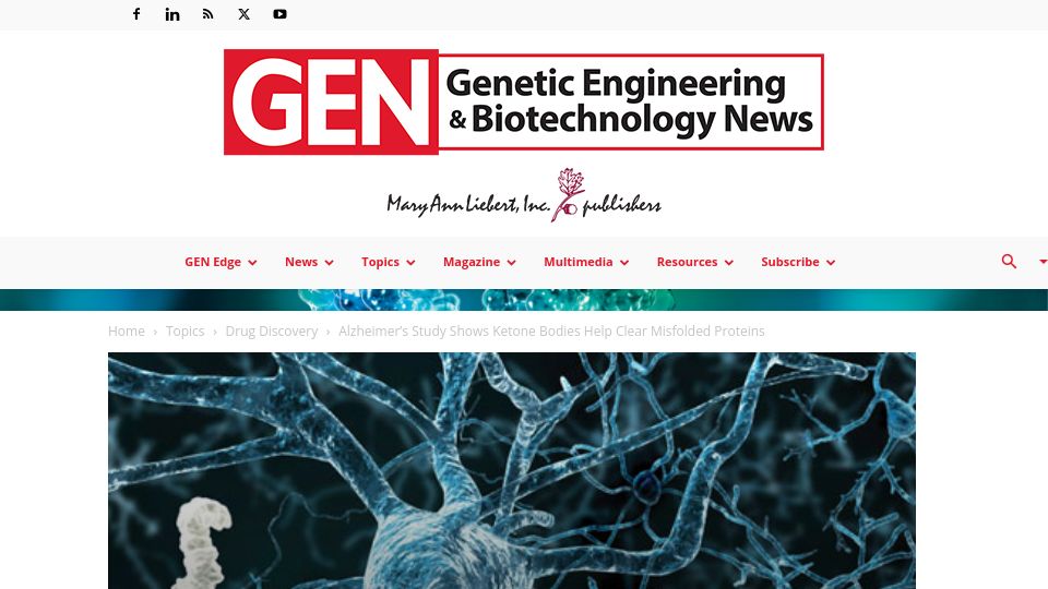 Screenshot of genengnews.com: Alzheimer's study shows ketone bodies help clear misfolded proteins