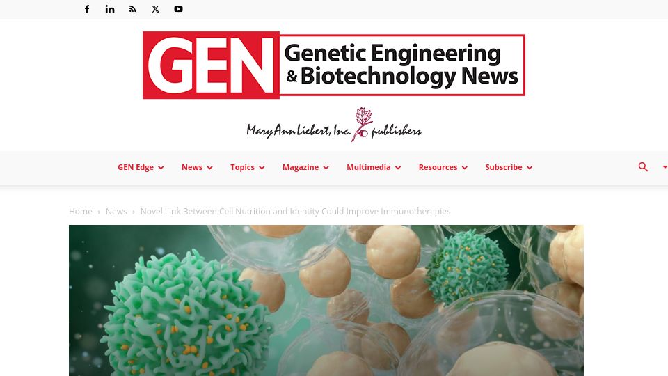 Screenshot of genengnews.com: Novel link between cell nutrition and identity could improve immunotherapies