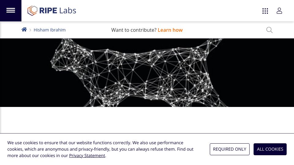 Screenshot of labs.ripe.net: Schrödinger's IPv6 Cat