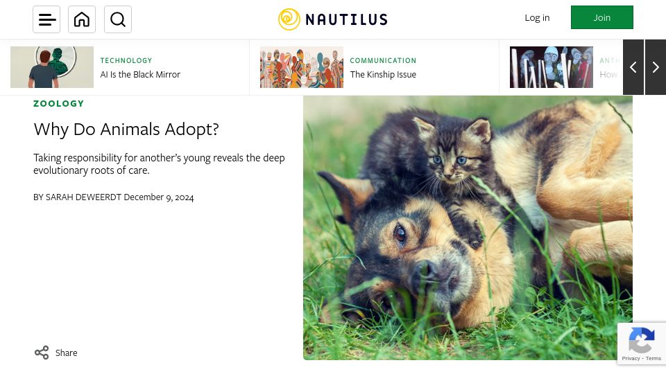 Screenshot of nautil.us: Why do animals adopt?