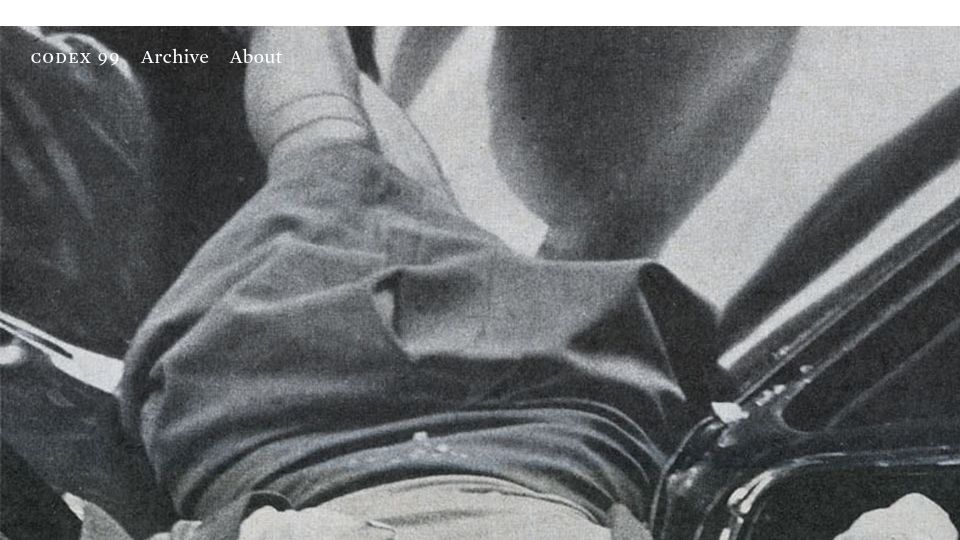Screenshot of codex99.com: Evelyn McHale (2017)