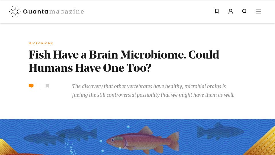 Screenshot of quantamagazine.org: Fish have a brain microbiome – could humans have one too?