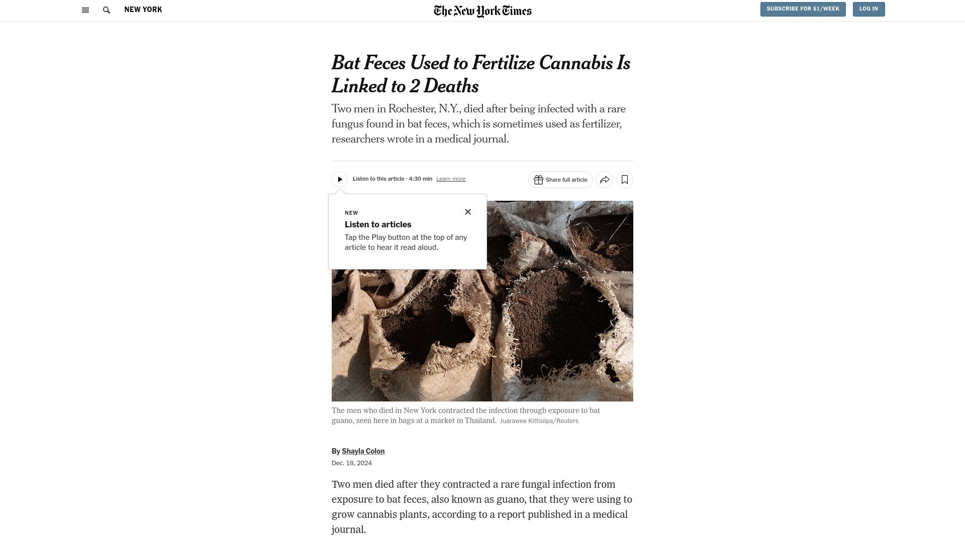 Screenshot of nytimes.com: Bat Feces Used to Fertilize Cannabis Is Linked to 2 Deaths
