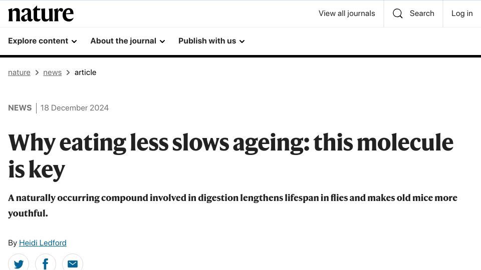Screenshot of nature.com: Why eating less slows ageing: this molecule is key