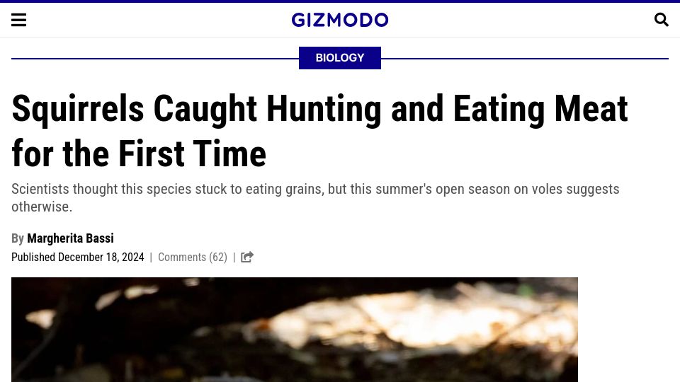Screenshot of gizmodo.com: Squirrels hunting and eating meat