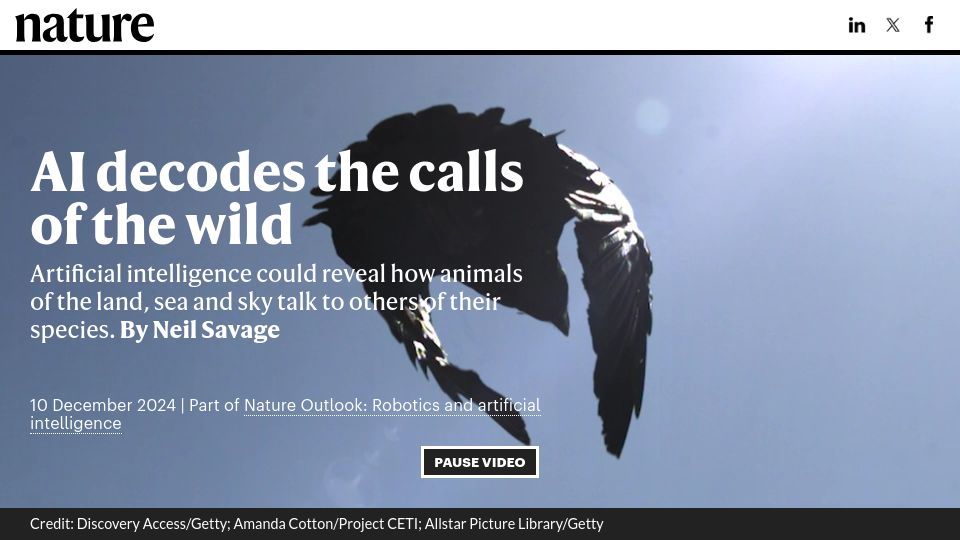Screenshot of nature.com: AI Decodes the Calls of the Wild