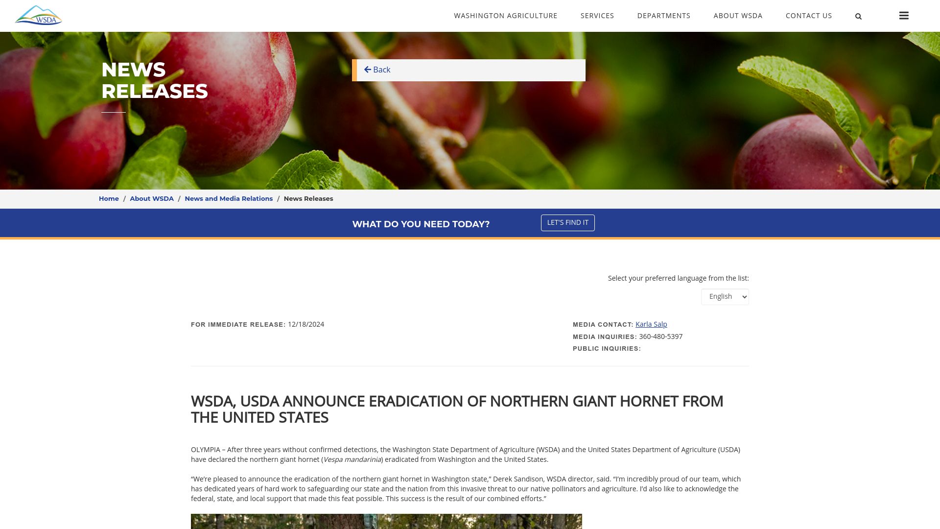 Screenshot of agr.wa.gov: WSDA, USDA announce eradication of northern giant hornet from the United States