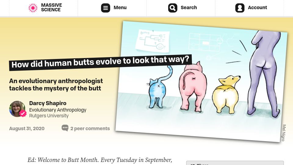 Screenshot of massivesci.com: How did human butts evolve to look that way?
