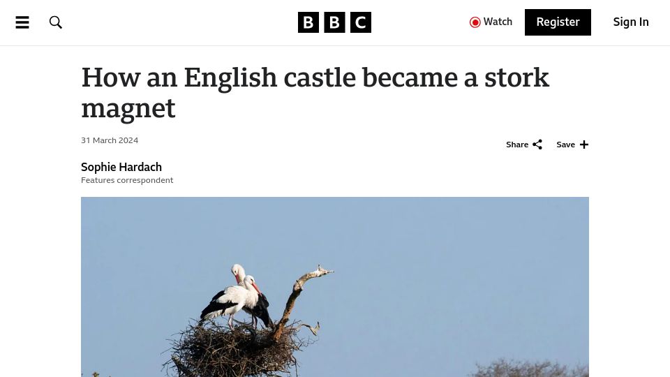 Screenshot of bbc.com: An English castle became a stork magnet