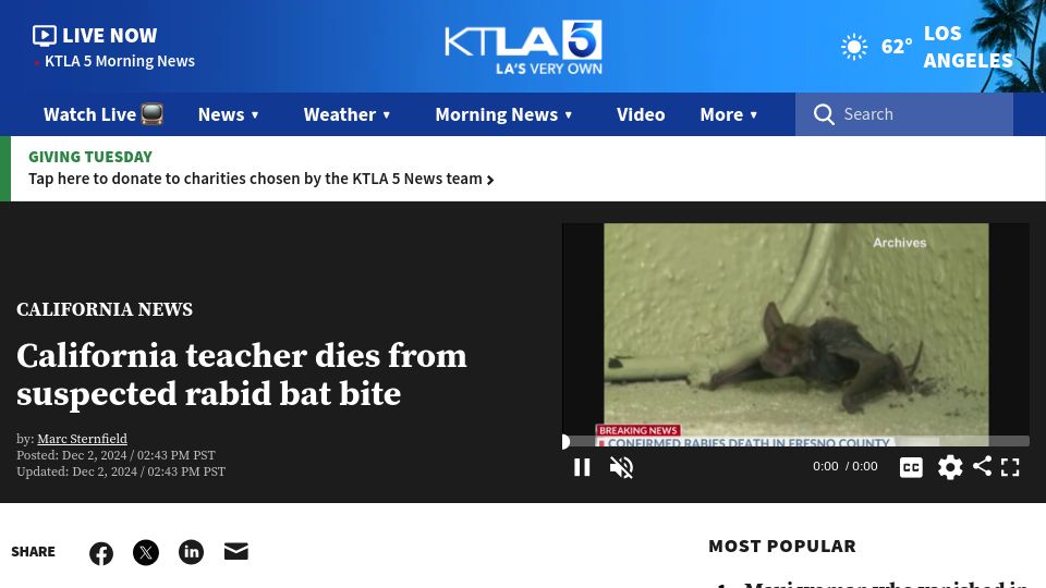 Screenshot of ktla.com: California teacher dies from suspected rabid bat bite