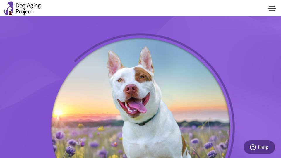 Screenshot of dogagingproject.org: Dog Aging Project