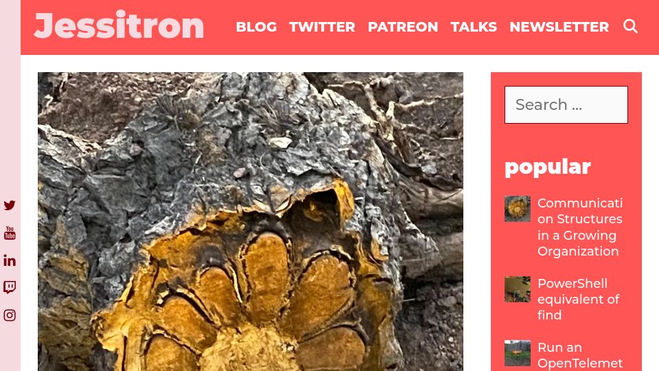 Screenshot of jessitron.com: Communication Structures in a Growing Organization