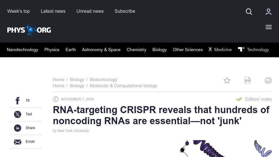 Screenshot of phys.org: RNA-targeting CRISPR reveals that noncoding RNAs are not 'junk'