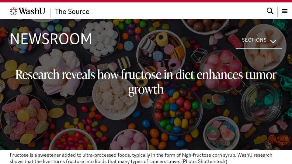Screenshot of source.washu.edu: Fructose in diet enhances tumor growth: research