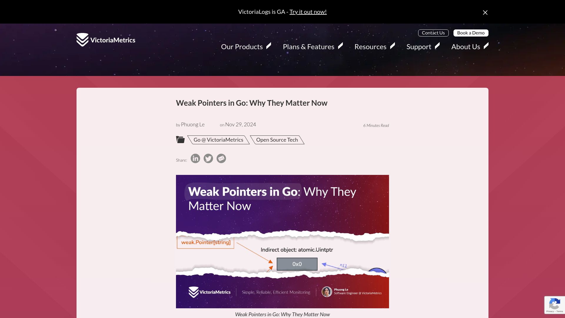 Screenshot of victoriametrics.com: Weak pointers in Go: why they matter now