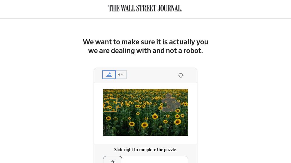 Screenshot of wsj.com: Brian Krebs Investigates Internet's Most Vicious Hackers–From a Secret Location