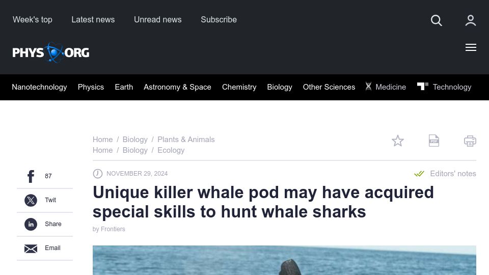 Screenshot of phys.org: Unique killer whale pod may have acquired special skills to hunt whale sharks