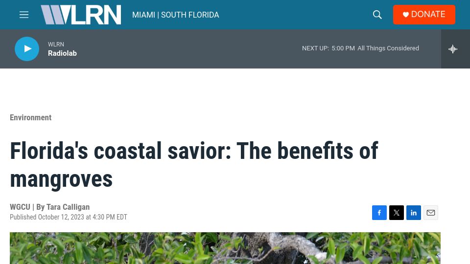 Screenshot of wlrn.org: The Benefits of Mangroves (2023)