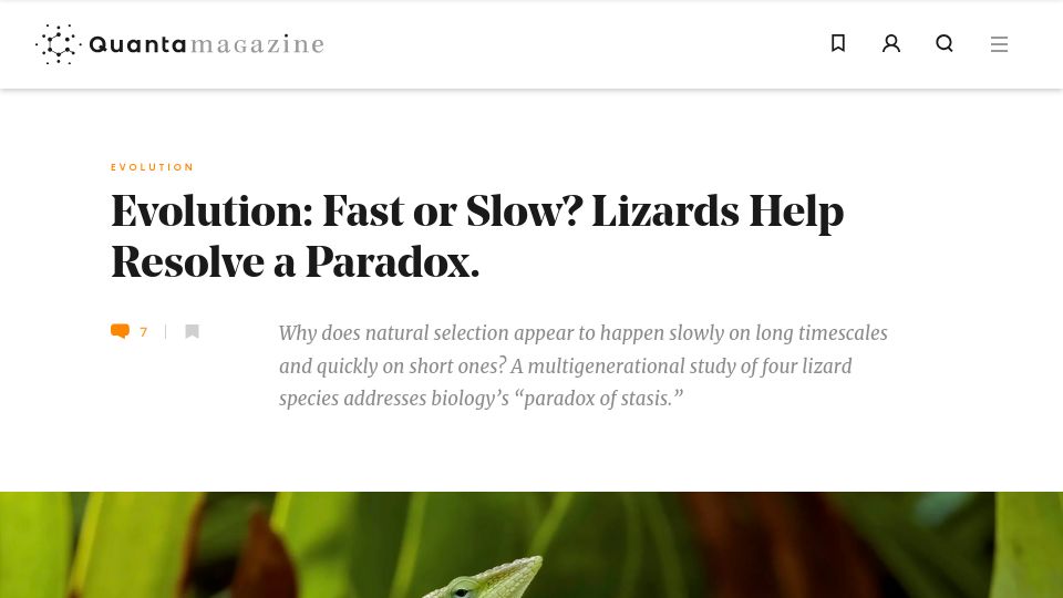 Screenshot of quantamagazine.org: Evolution: Fast or slow? Lizards help resolve a paradox
