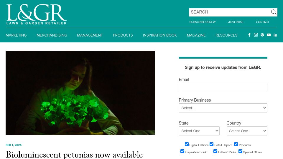 Screenshot of lgrmag.com: Bioluminescent petunias now available for U.S. market