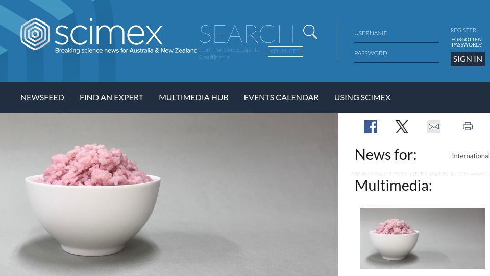 Screenshot of scimex.org: Researchers have developed a beef-rice hybrid