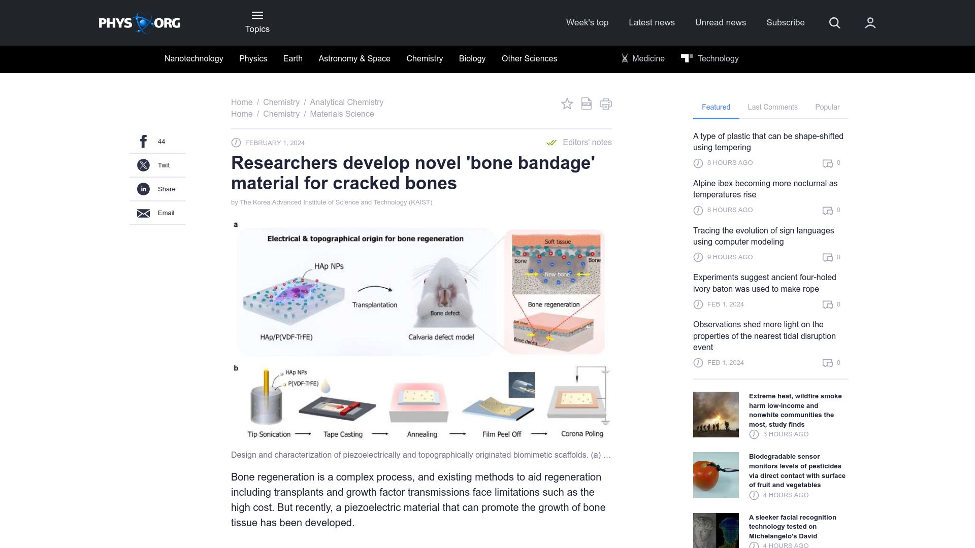 Screenshot of phys.org: Researchers develop novel 'bone bandage' material for cracked bones