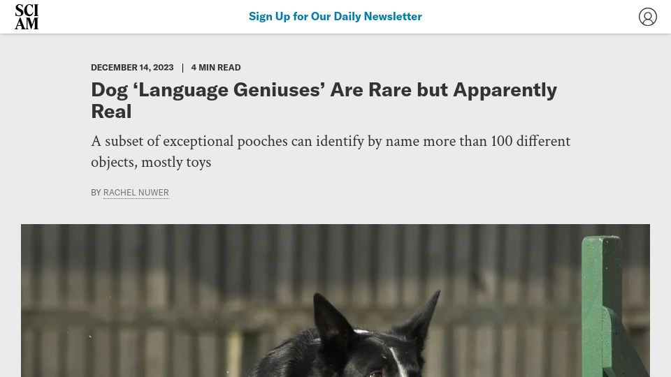 Screenshot of scientificamerican.com: Certain dogs are capable of learning the names for more than 100 different toys
