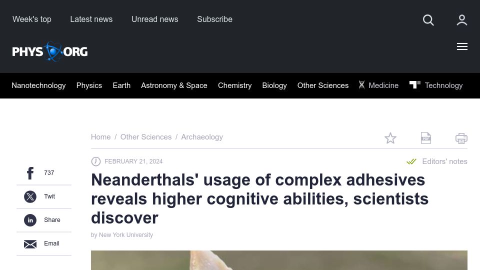 Screenshot of phys.org: Neanderthals' use of complex adhesives shows high cognitive abilities