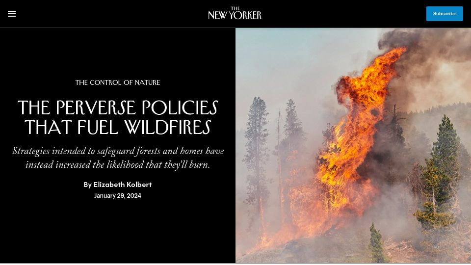 Screenshot of newyorker.com: The perverse policies that fuel wildfires