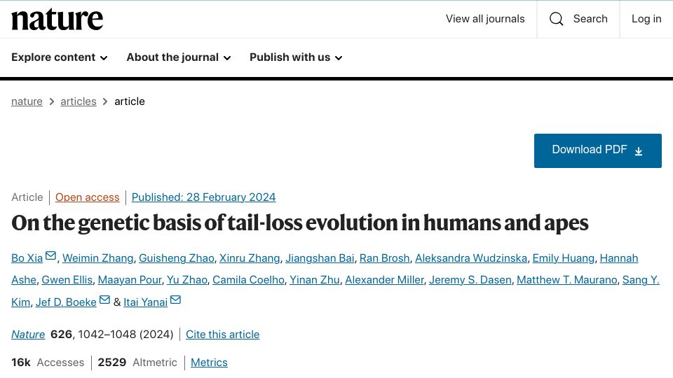 Screenshot of nature.com: On the genetic basis of tail-loss evolution in humans and apes