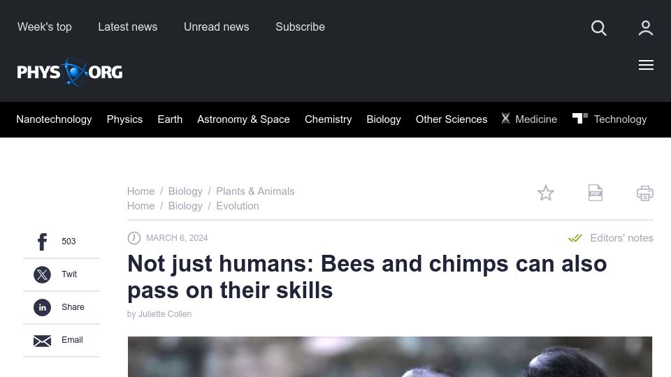 Screenshot of phys.org: Bees and chimps can also pass on their skills
