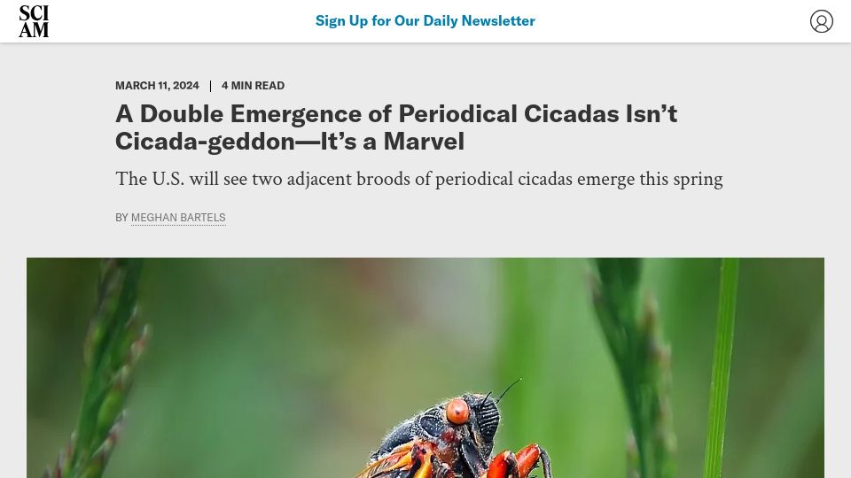 Screenshot of scientificamerican.com: A ‘double brood’ of periodical cicadas will emerge in 2024