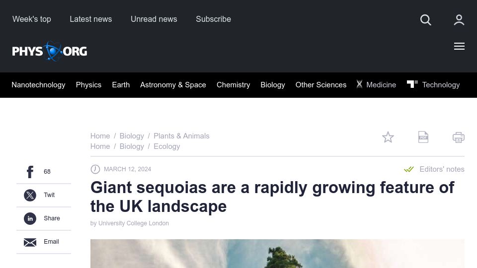 Screenshot of phys.org: Giant sequoias are a rapidly growing feature of the UK landscape
