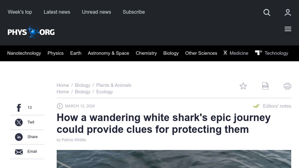Screenshot of phys.org: A wandering white shark's epic journey could provide clues for protection