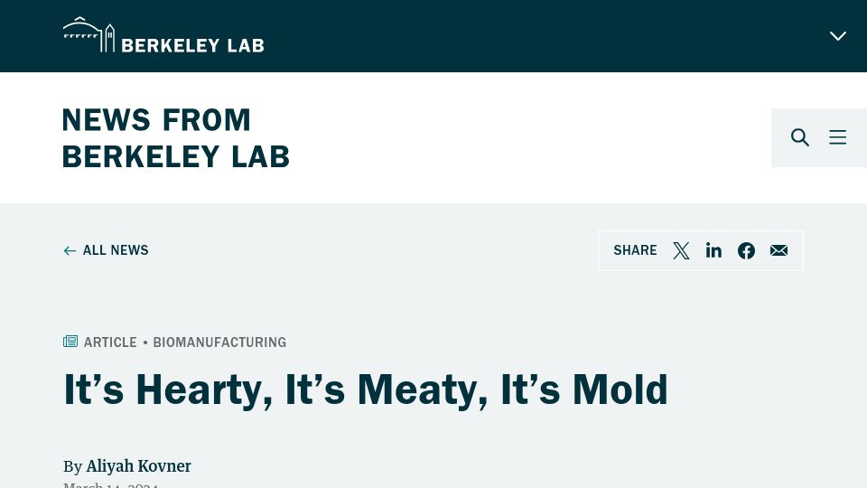 Screenshot of newscenter.lbl.gov: Genetically engineering koji mold to create a meat alternative