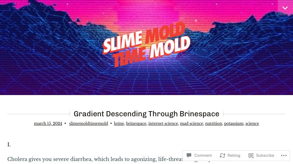 Screenshot of slimemoldtimemold.com: Gradient Descending Through Brinespace
