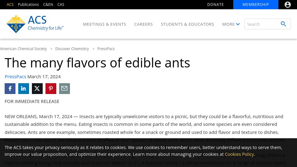 Screenshot of acs.org: The many flavors of edible ants