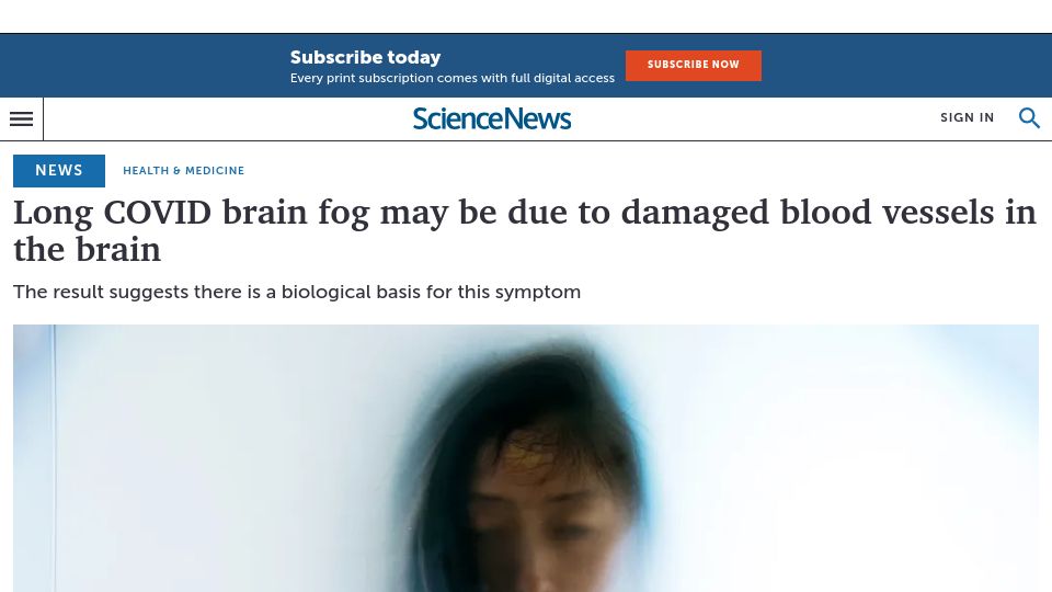 Screenshot of sciencenews.org: Long Covid brain fog may be due to damaged blood vessels in the brain