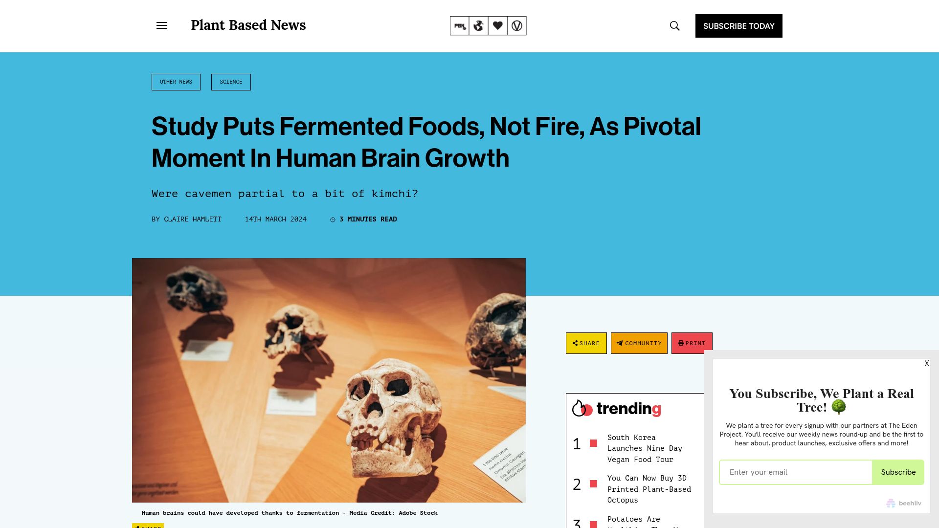 Screenshot of plantbasednews.org: Study puts fermented foods, not fire, as pivotal moment in human brain growth