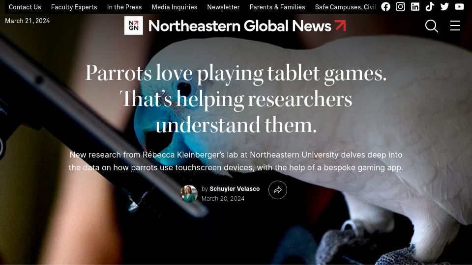Screenshot of news.northeastern.edu: Parrots love playing tablet games. That's helping researchers understand them