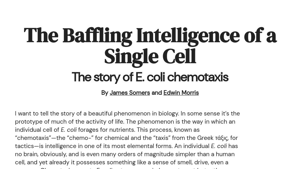 Screenshot of jsomers.net: The baffling intelligence of a single cell: The story of E. coli chemotaxis