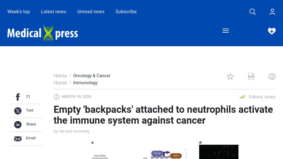 Screenshot of medicalxpress.com: Empty “backpacks” activate the immune system against cancer in mice