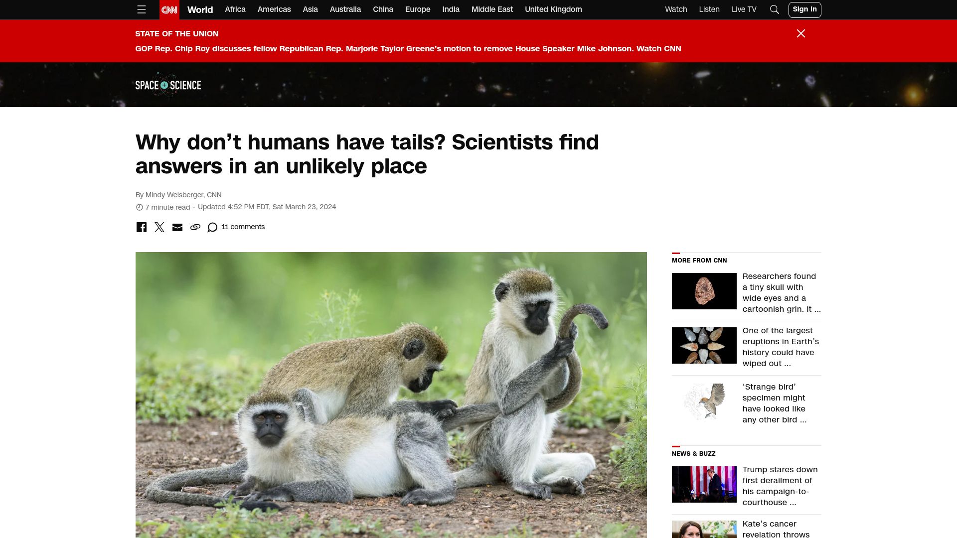 Screenshot of cnn.com: Scientists have traced human tail loss to a short sequence of genetic code