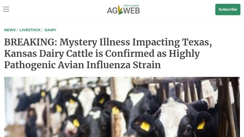 Screenshot of agweb.com: Illness Impacting Dairy Cattle Is Confirmed as Highly Pathogenic Avian Flu