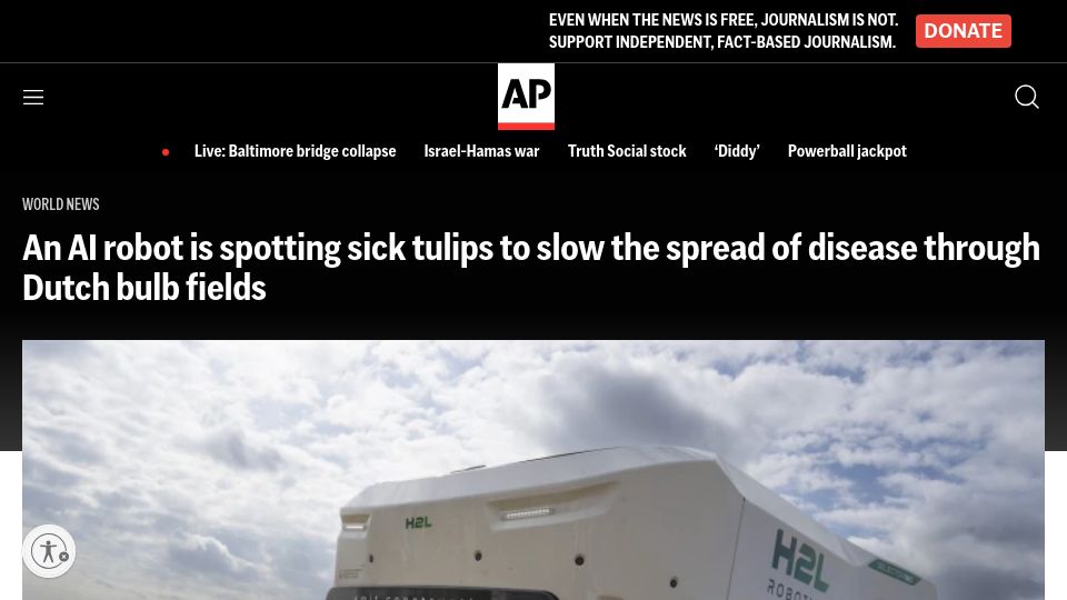 Screenshot of apnews.com: An AI robot is spotting sick tulips to slow disease through Dutch bulb fields