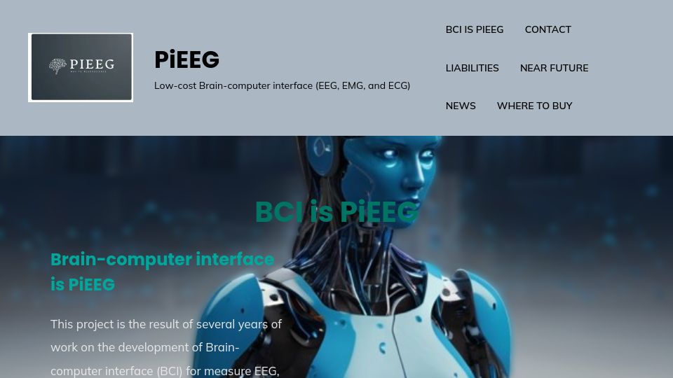 Screenshot of pieeg.com: EEG channels with low-cost PiEEG device