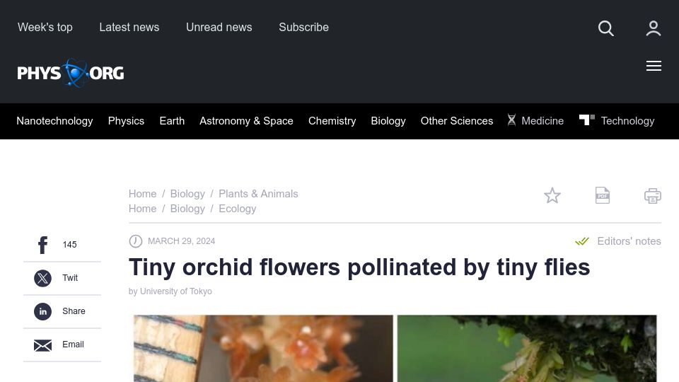 Screenshot of phys.org: Tiny orchid flowers pollinated by tiny flies